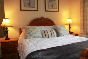 Bed and Breakfasts in Torquay